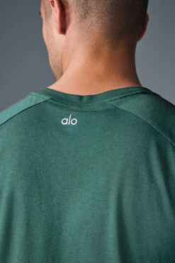 Triumph Raglan Tee - Winter Ivy 11 Triumph Raglan Tee - Winter Ivy -Alo Fashion Store M1133R 05819 b1 s1 a5 1 m180