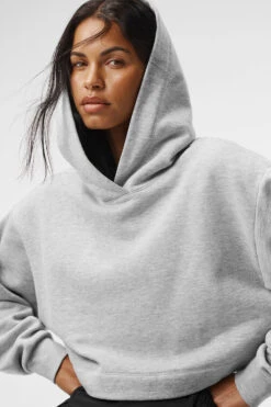 Bae Hoodie - Athletic Heather Grey -Alo Fashion Store W3814R 02910 b1 s1 a4 1 m18 93f82532 585e 4cae b958 1419bb97a953